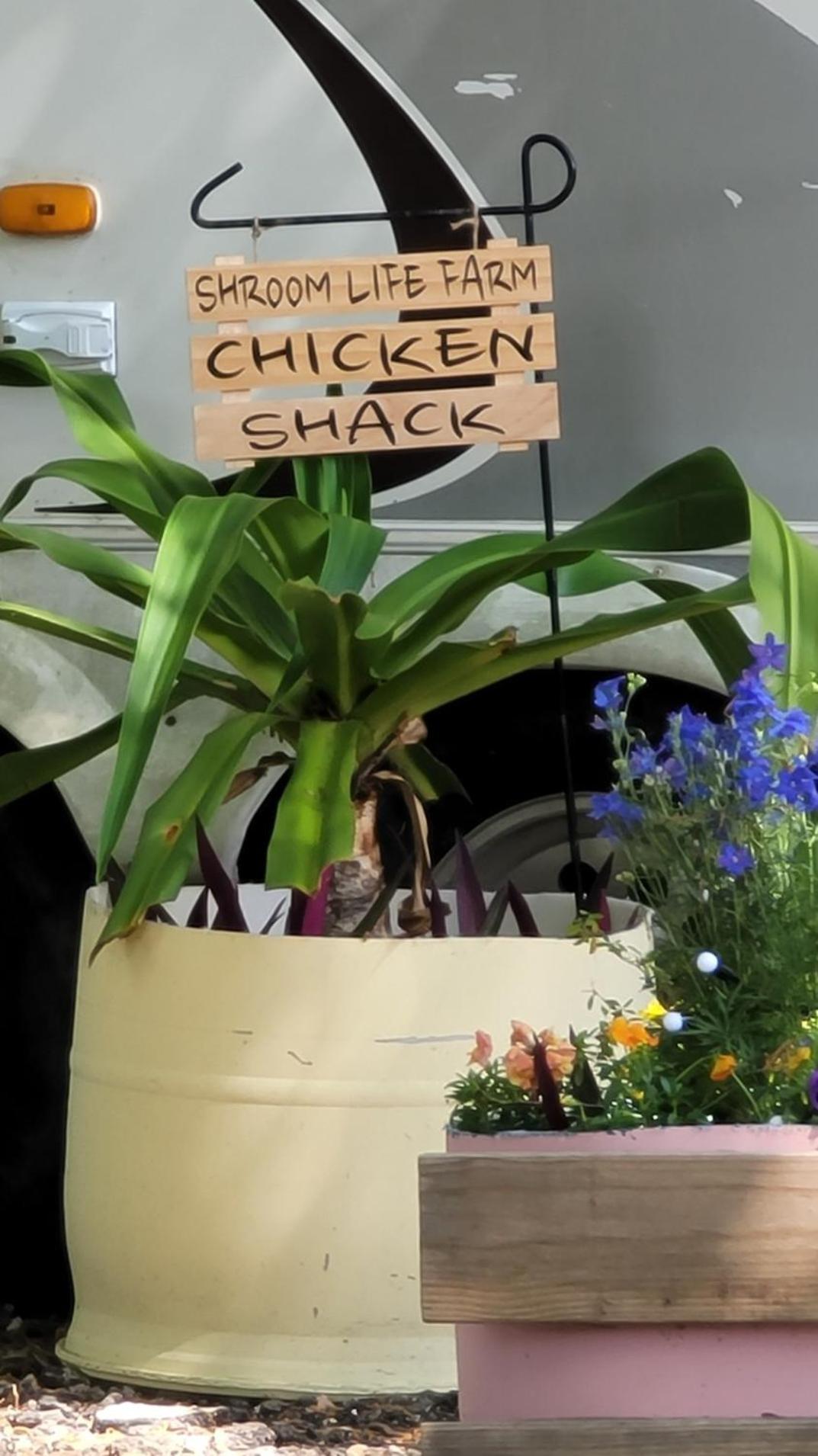 Parque de Campismo Shroom Life Farm Chicken Shack North Fort Myers
