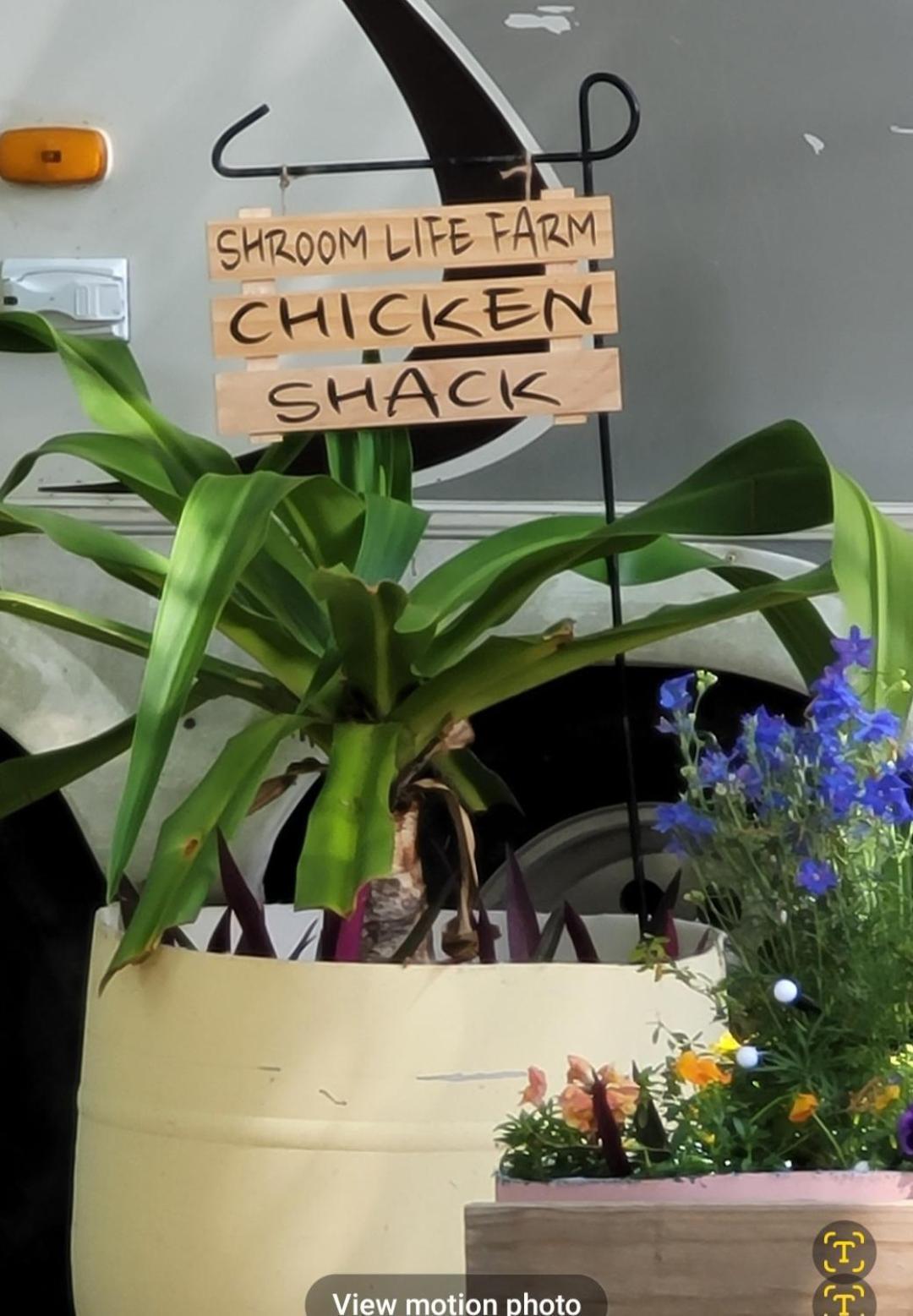 Parque de Campismo Shroom Life Farm Chicken Shack *